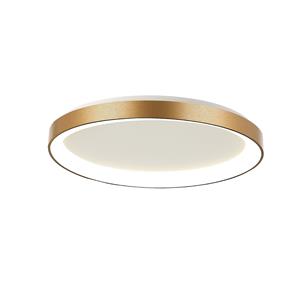 Steinhauer Plafonnière Ringlede | 1-lichts | Ø 6 cm | goud&wit | led