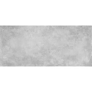 Energieker XL Vloertegel  Parker Silver 120x270 cm Beton Zilver Grijs 