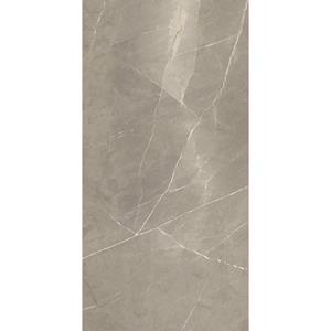 Energieker Vloertegel  Pietragrey Glans 120X270 cm Taupe 