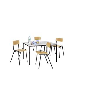 Eurokraft basic Universele zitgroep, 1 tafel, 4 stoelen, tafelblad lichtgrijs, frame grijsbruin