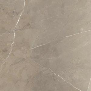 Jabo Tegelsample:  Pietragrey Taupe vloertegel 60x60cm gerectificeerd