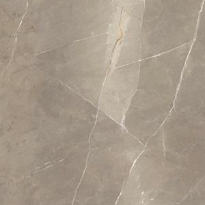 Jabo Tegelsample:  Pietragrey Taupe vloertegel 120x120cm gerectificeerd