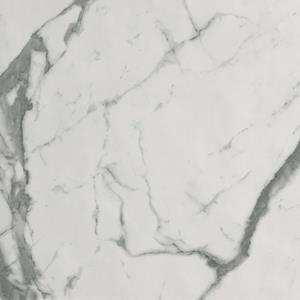 Jabo Tegelsample:  Roma Stone Carrara Superiore vloertegel 120x120cm gerectificeerd