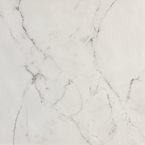 Jabo Tegelsample:  Roma Stone Carrara Delicato vloertegel 120x120cm gerectificeerd