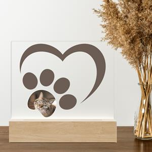 Ontwerp-zelf 3D LED LAMP - Kattenpoot - Hart