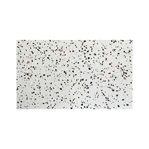 Saniclear Terrazzo toppaneel 81x46cm