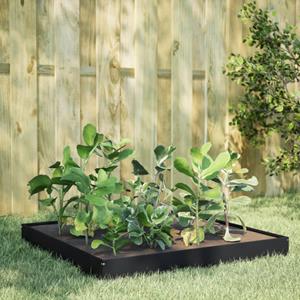 VidaXL Plantenbak verhoogd 100x100x18,5 cm staal