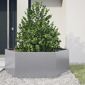 VidaXL Plantenbak zeshoek 138x120x45 cm gegalvaniseerd staal