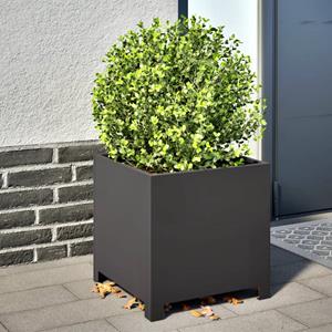 VidaXL Plantenbakken 2 st 40x40x40 cm staal zwart