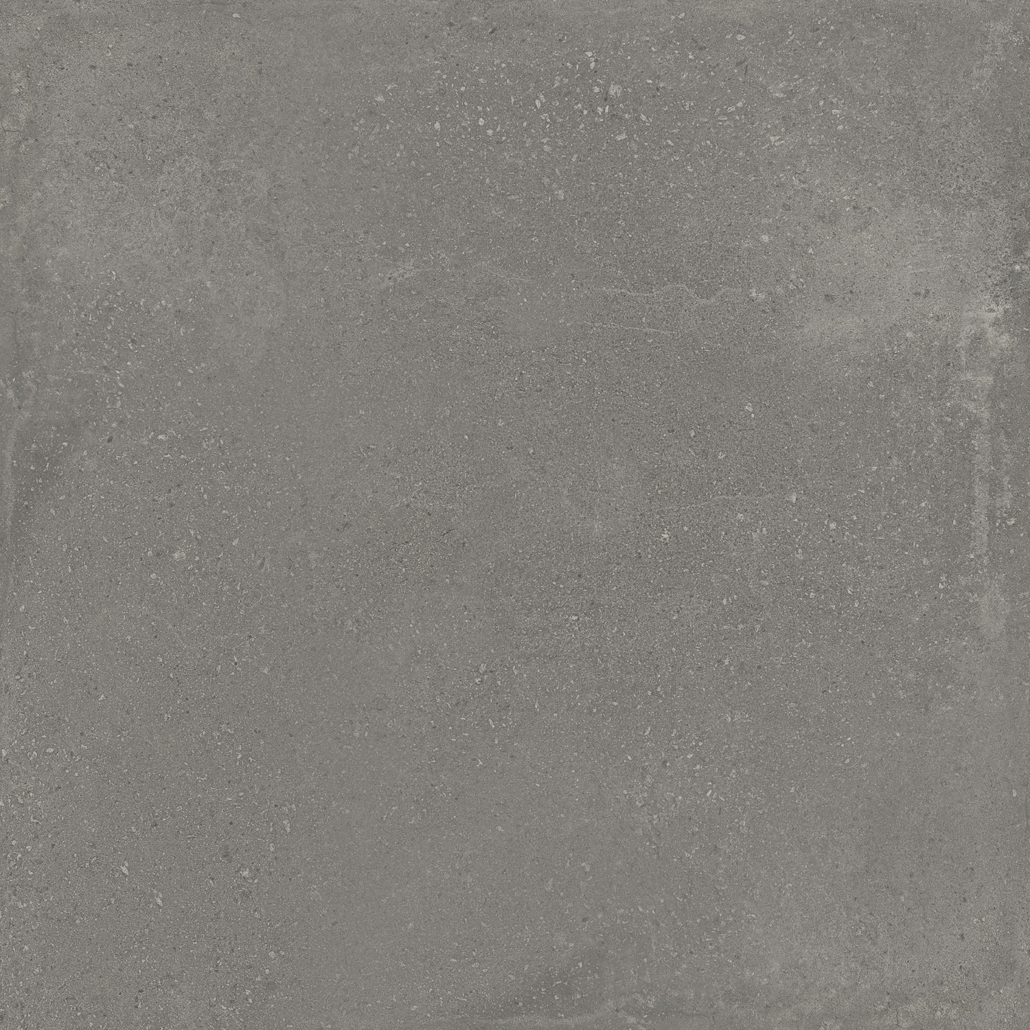 Argenta Vloertegel  Davenport 75x75 cm Mat Dark 