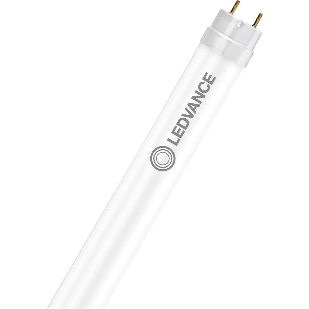 LEDVANCE LED-buis-TL-buis Energielabel: C (A - G) G13 T8 12 W = 36 W Koudwit 1 stuk(s) (Ø x h) 26.7 mm x 26.7 mm