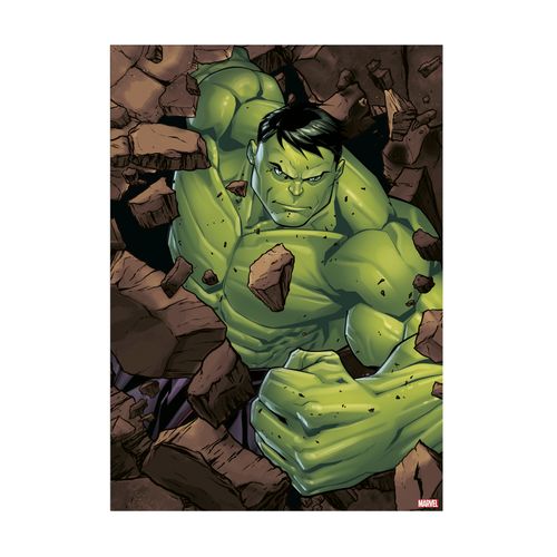 Disney | Marvel The Hulk - Canvas 50x70cm