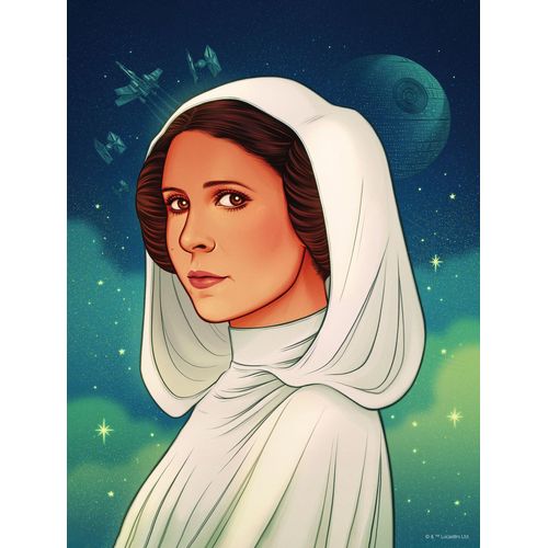 Disney Poster Star Wars Princess Of Alderaan Blauw, Groen En Wit - 30 Cm X 40 Cm