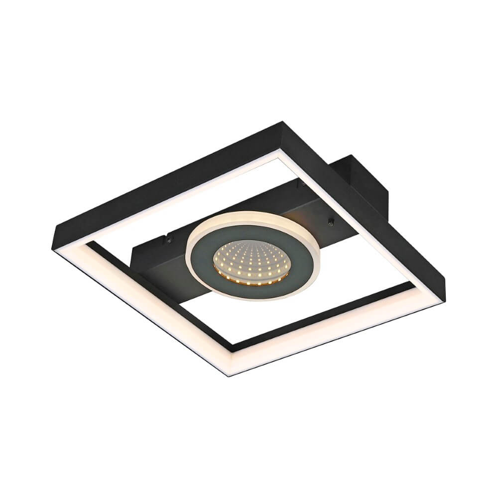 Paul Neuhaus LED-Deckenlampe Traforo, 25 cm, CCT, dimmbar