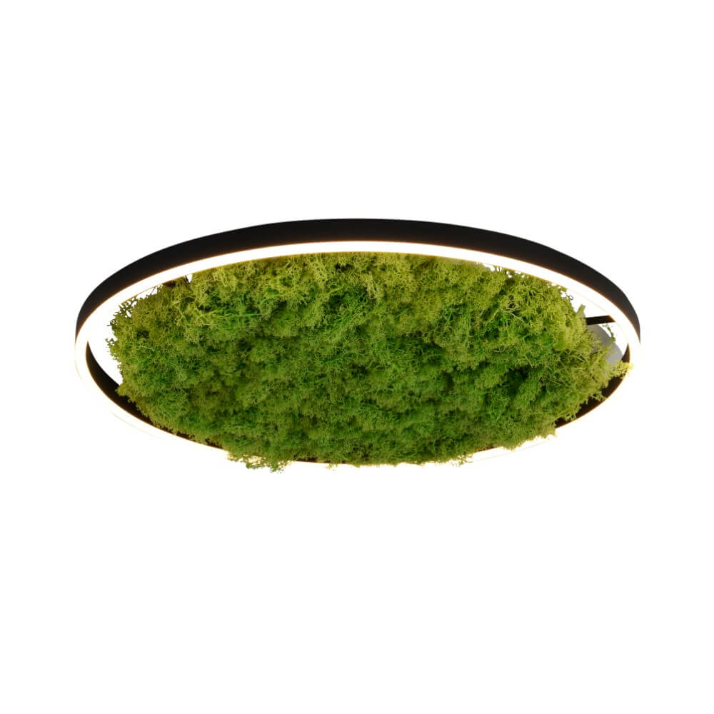 JUST LIGHT. LED-Deckenlampe Green Ritus, Moos dimmbar Ø58,5cm