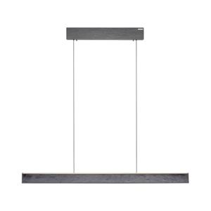 Paul Neuhaus Design hanglamp Pure E-Motion patroon 2570-71