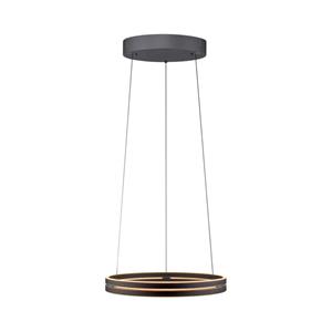 Paul Neuhaus Strakke hanglamp Pure E-Loop zwart 2550-18