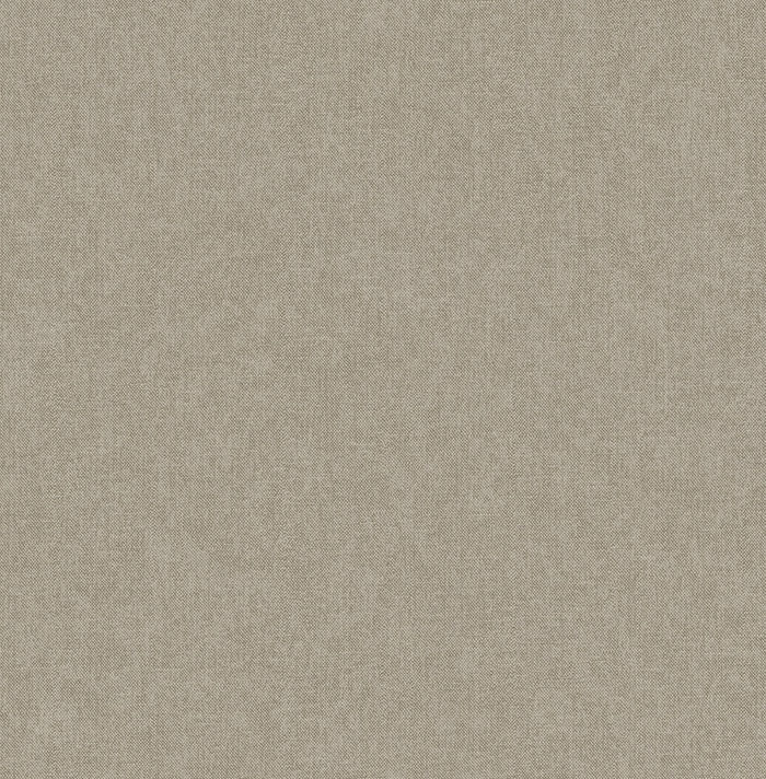 Dutch Wallcoverings Sauvage Uni - Lichtbruin