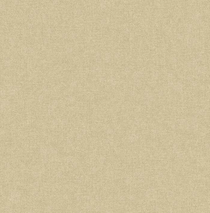 Dutch Wallcoverings Sauvage Uni - Beige