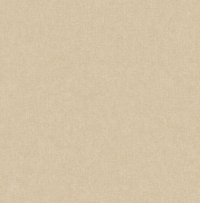 Dutch Wallcoverings Sauvage Uni - Beige