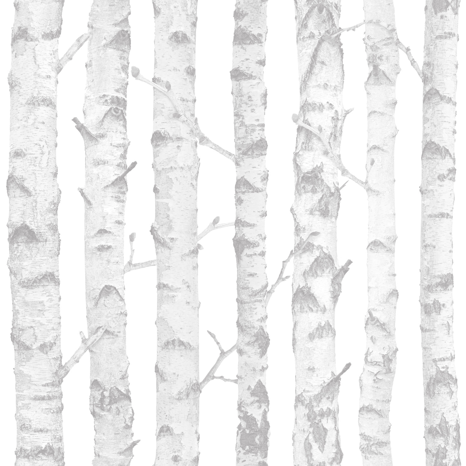 Dutch Wallcoverings Joy - Berkenbomen - Wit/Grijs