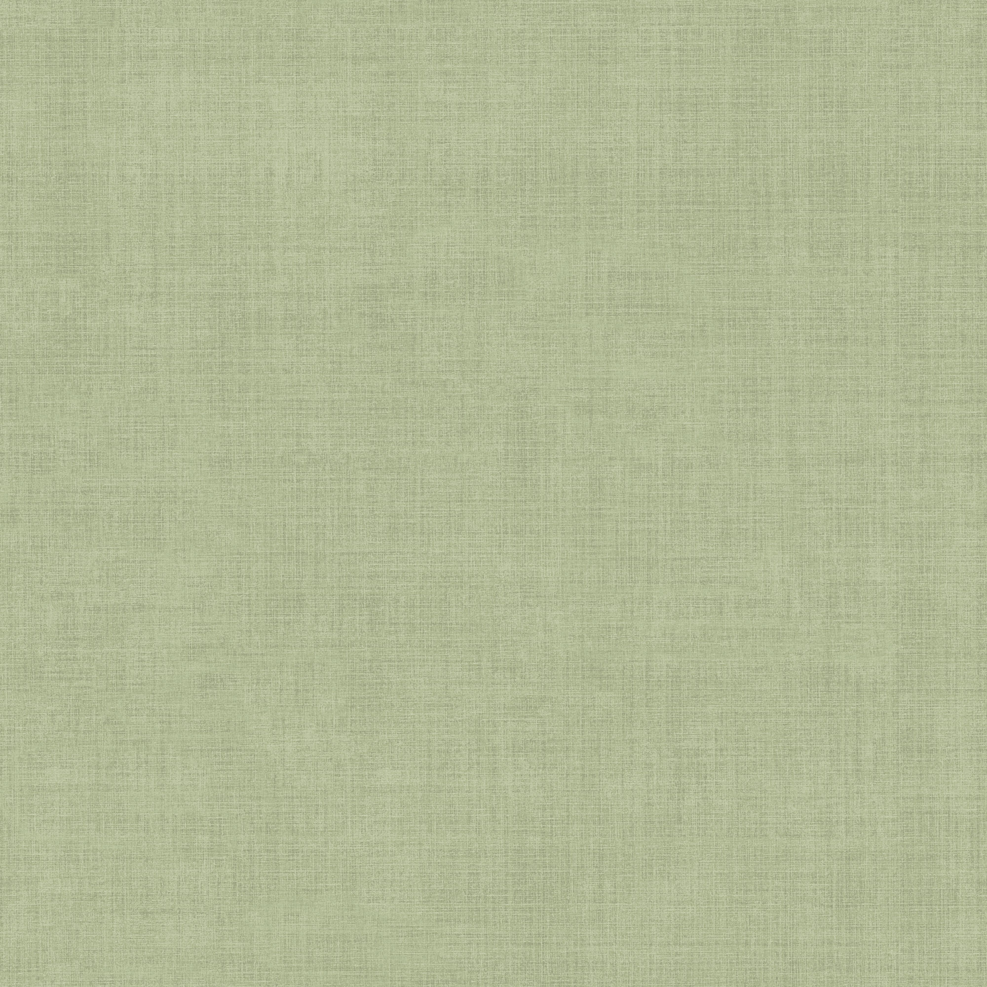 Dutch Wallcoverings Midolin - Varlöv Green - Groen