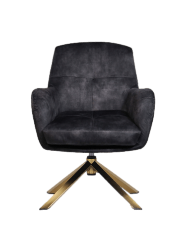 Loods XL Fauteuil Cleveland grijs/goud polyester