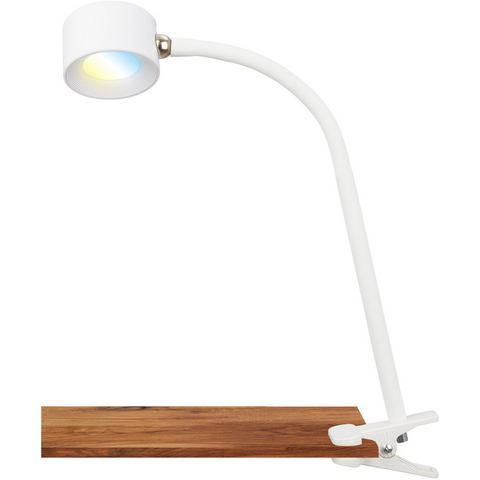 Briloner Leuchten Klemlamp Tari Klem lamp