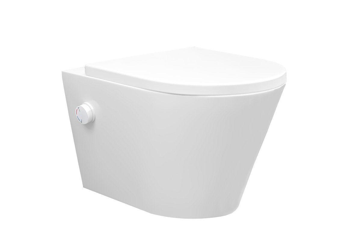 <QuerySet [<AttributeOption: Wiesbaden>]> Wandcloset met shade zitting bidet en koud of warm water mogelijkheid mat wit