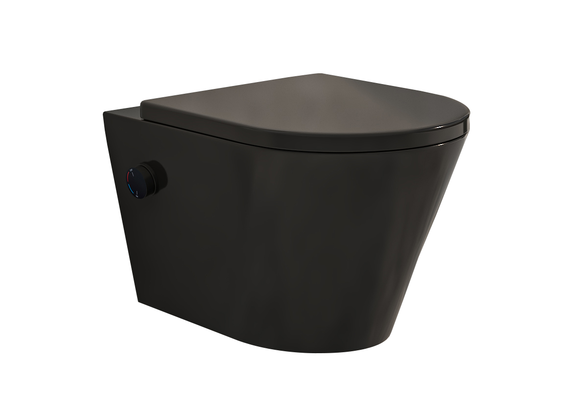 <QuerySet [<AttributeOption: Wiesbaden>]> Wandcloset met shade zitting bidet en koud of warm water mogelijkheid mat zwart