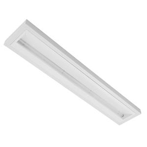 EGG LED aanbouw lamp asymmetrisch, wit 50 W