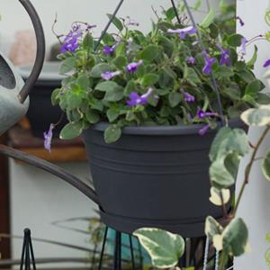 HOMEKA Plantpot Valbestendige hars zwarte hangende bloempot voor buiten beige