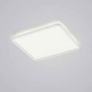 Helestra Vesp LED-Panel Backlight 61x61cm wei&szlig;