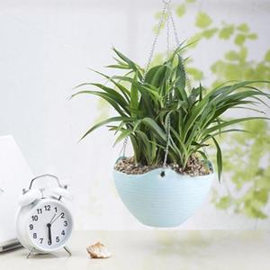 HOMEKA Bloempot hangende ketting Multifunctionele hars Multifunctionele plantenhouder Huishoudelijke benodigdheden blauw