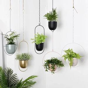 SHxiaolu with Hook Plant Pot Hanging Bucket Succulent Plant Flowerpot Plant Hanging Basket  Home Decoration A