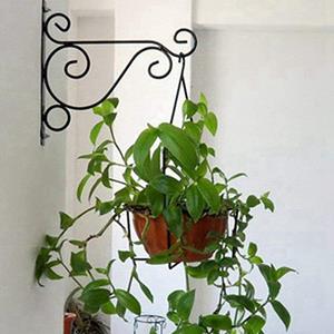 Sunnyway 2 sets beugels, hangende bloemenstandaard, bloempotvoeder, windgonglamp, hangend balkon, tuin, hangend bloemenrek, frame, hangende kleine elektrische lamp