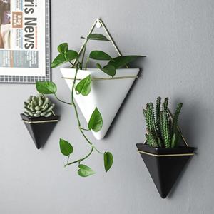 Sunnyway Hangende plantenbakvaas Moderne kamerplanten voor vetplanten Air Plant Cactus 12*18.5 cm
