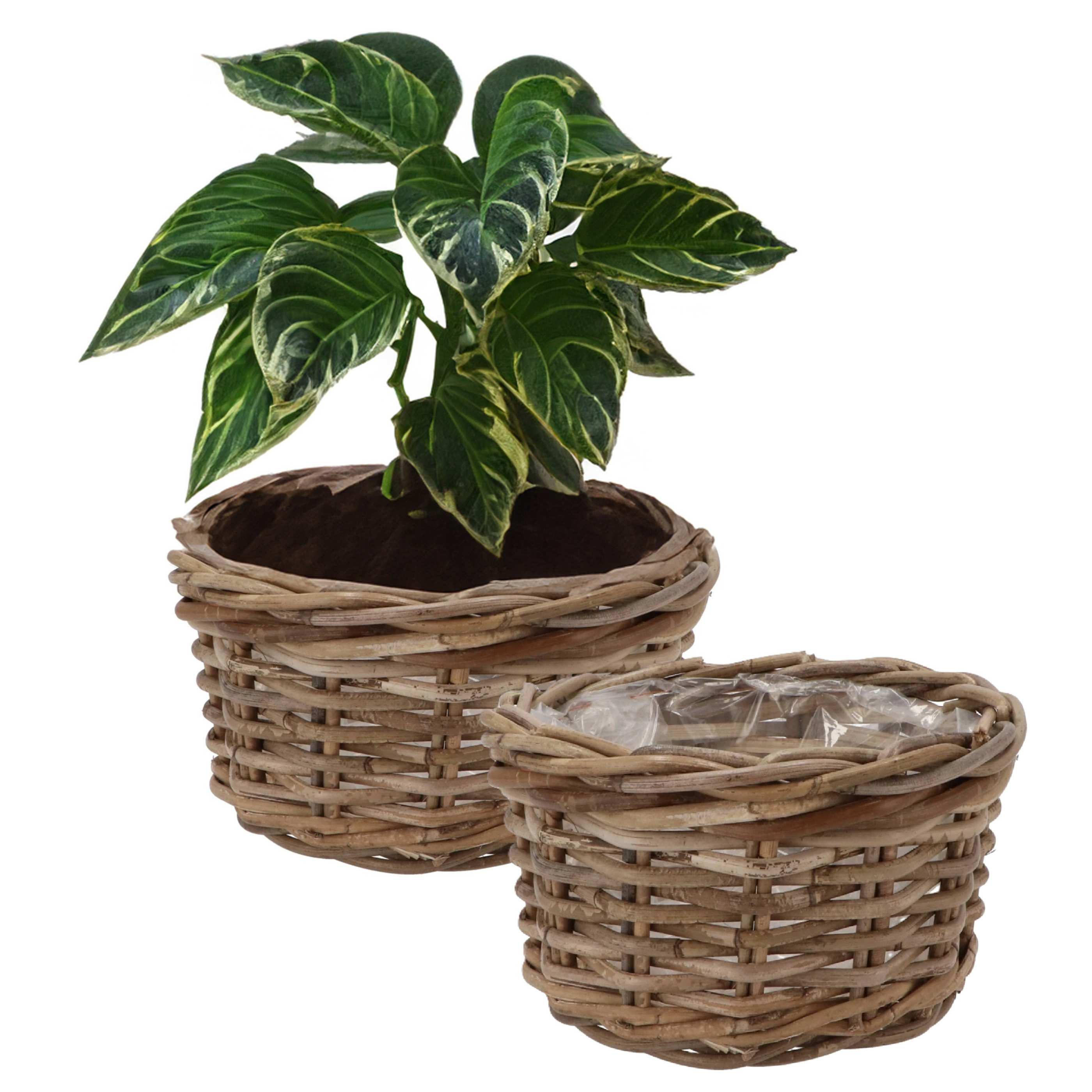DK Design Plantenmand/aardappelmand tafelmodel - 2x - Ivy - met binnenzak - rotan - B25 x H13 cm - binnen/buit -