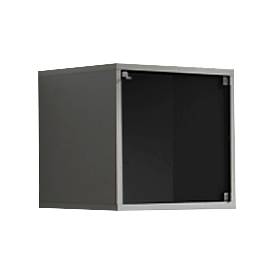 Glasdeur voor kubusvormige open kast, zwart