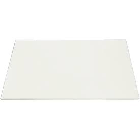 Schäfer Shop Genius Extra legborden voor TETRIS WOOD kastensysteem, 2 stuks, Roldeurkast B 1600, wit