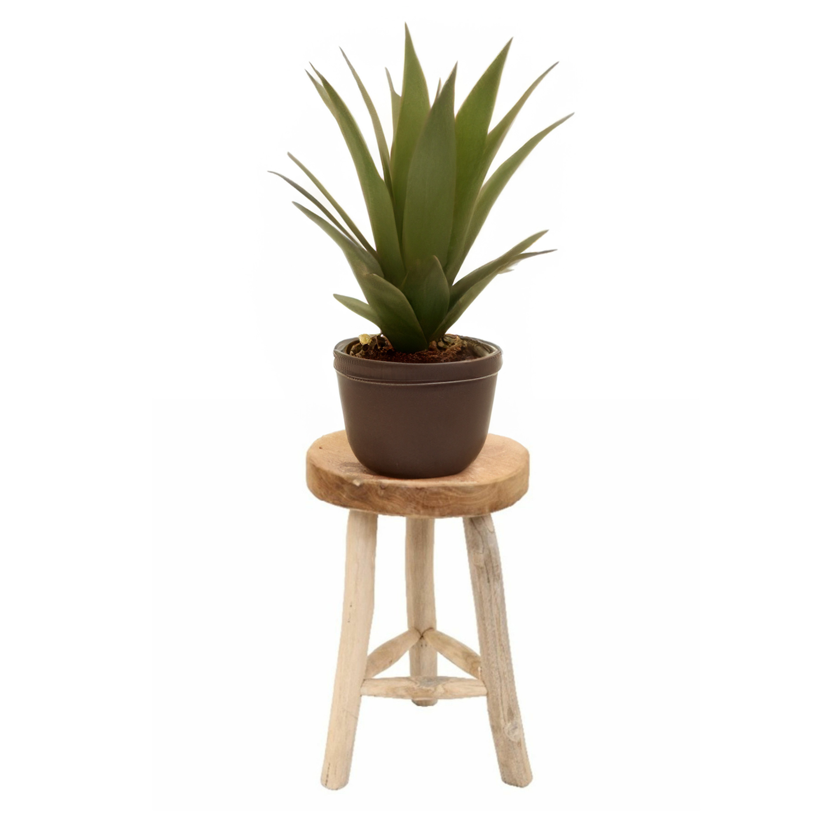 Van der Leeden Houten kruk - D30 x H45 cm - naturel - teakhout - zitkrukje - krukjes -