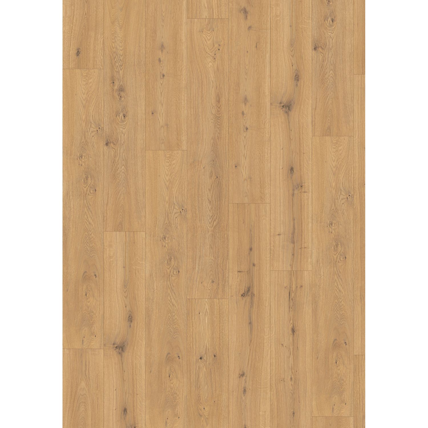 Decomode Laminaat - Lions - Bremen - 4-zijdige V-groef - 8mm - 1,995m²