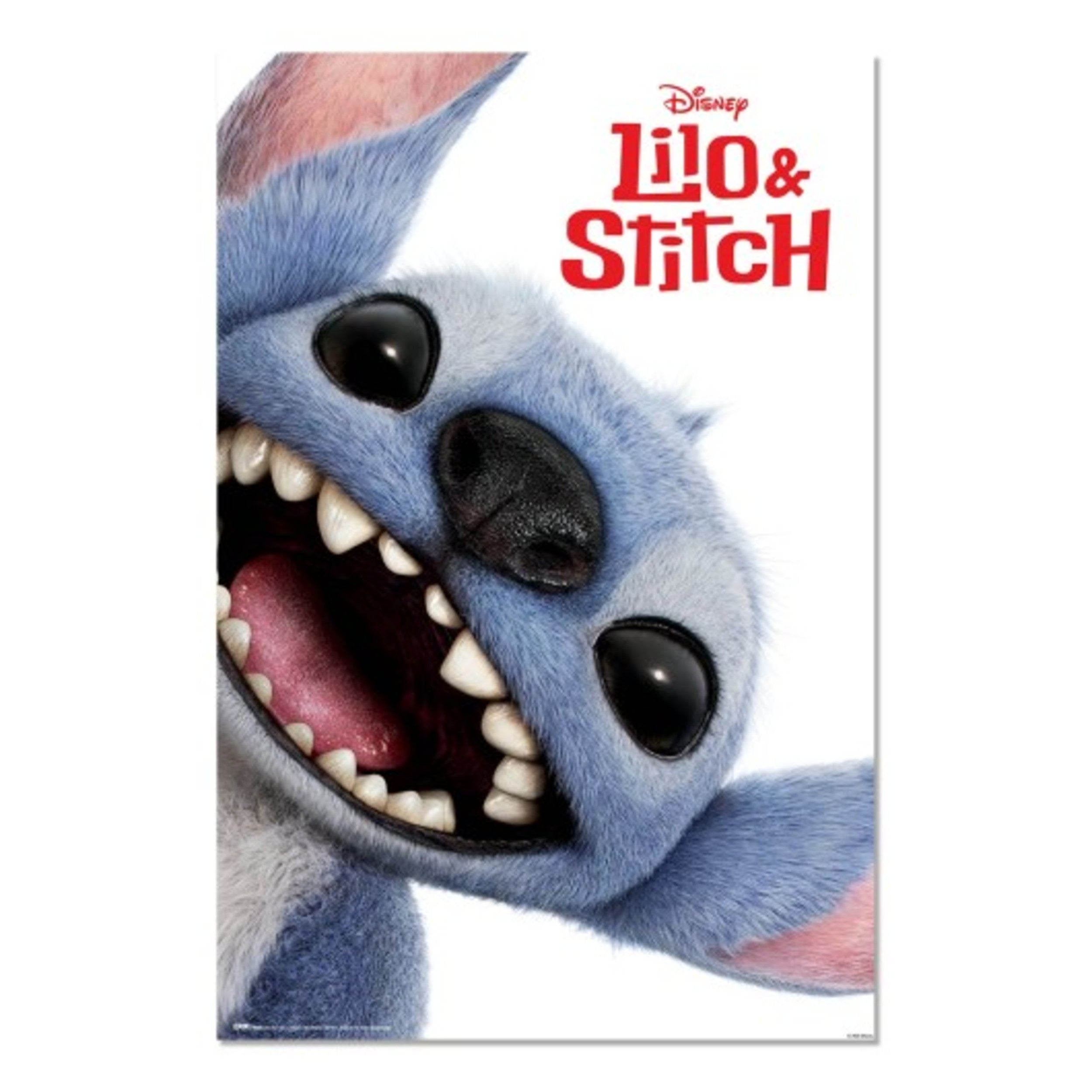Grupo Erik Poster Disney - Stitch Live Action Face 61x91,5cm
