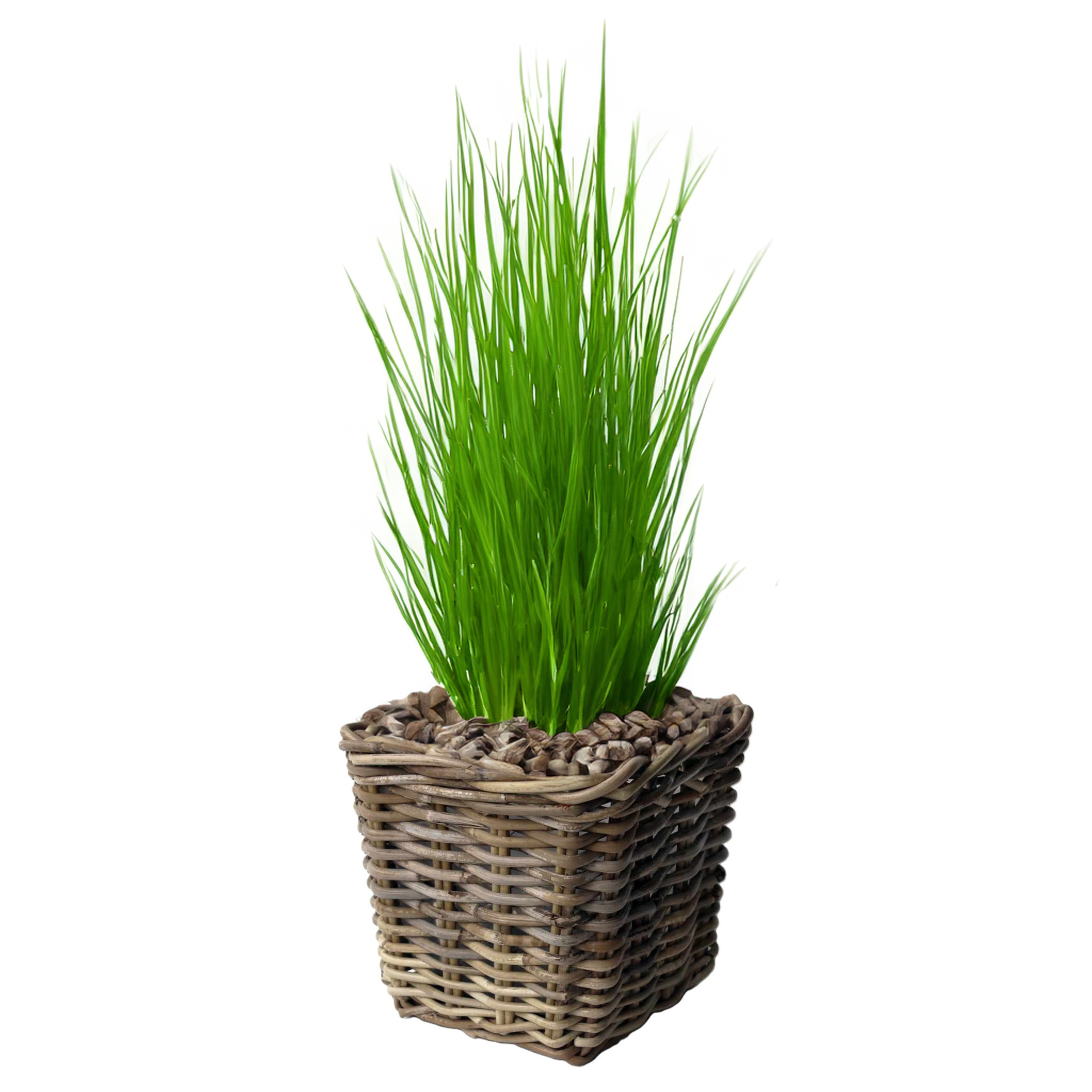 Van der Leeden Opbergmand - vierkant - rotan - gevlochten riet - L27 x B27 x H25 cm - opbergen -