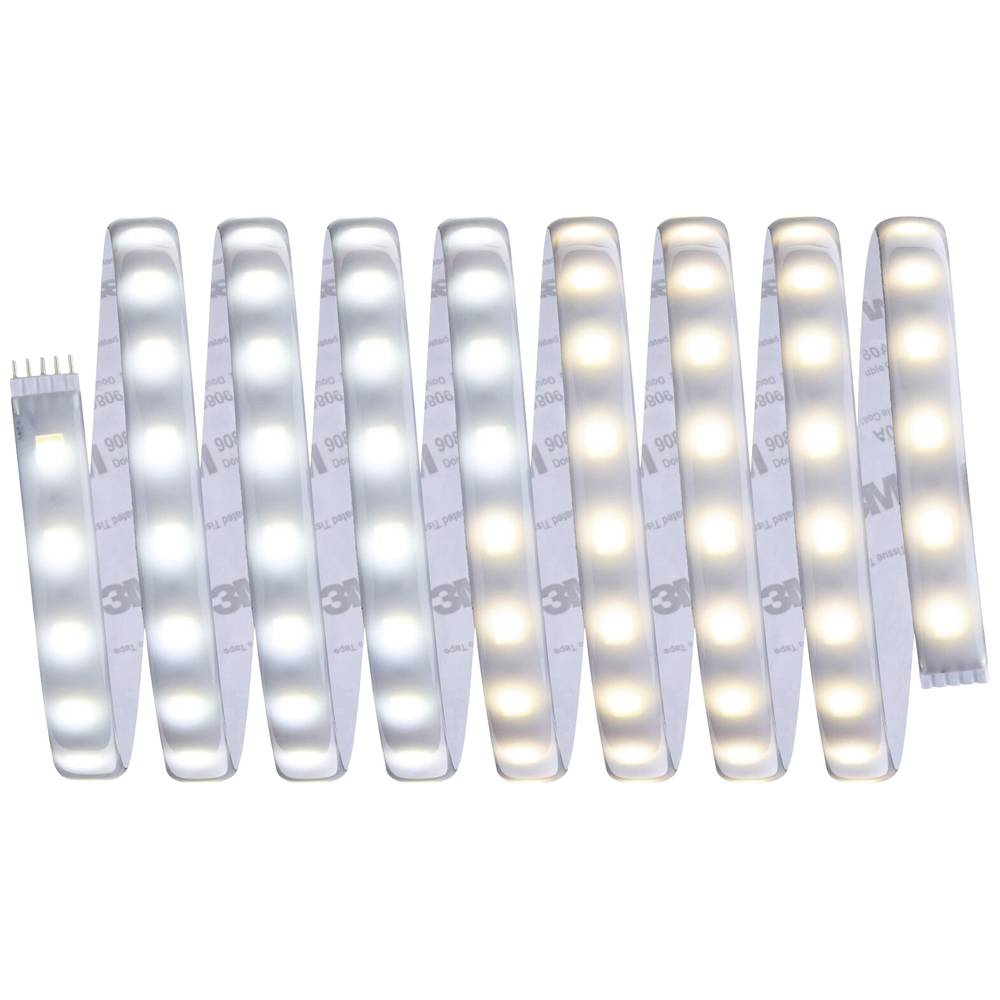 Paulmann MaxLED Tunable White 70624 LED-strip basisset Met connector (male) 24 V 3 m Warmwit, Neutraalwit, Daglichtwit