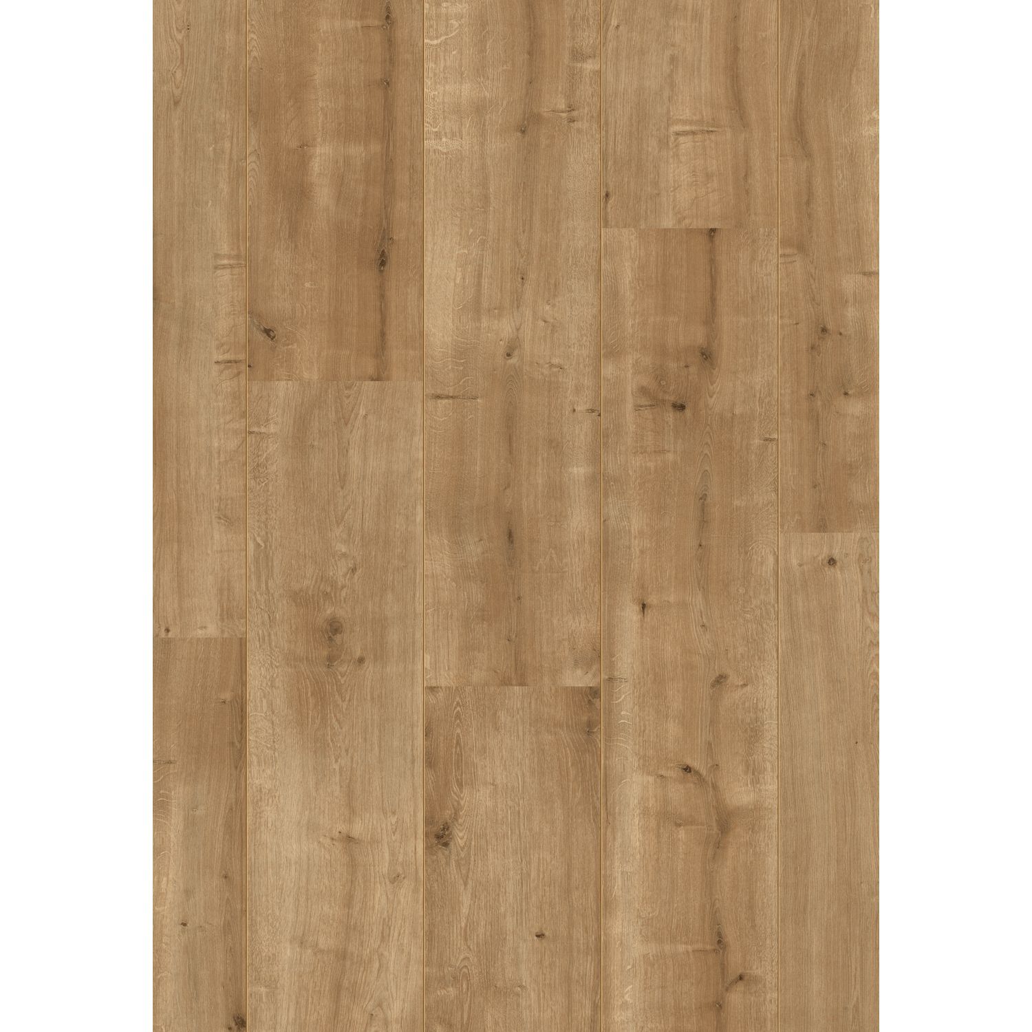 Quick Step Quick-step Laminaat - Settle - Antilope Eik Natuur - 2-zijdige V-groef - 8mm - 2,461m²