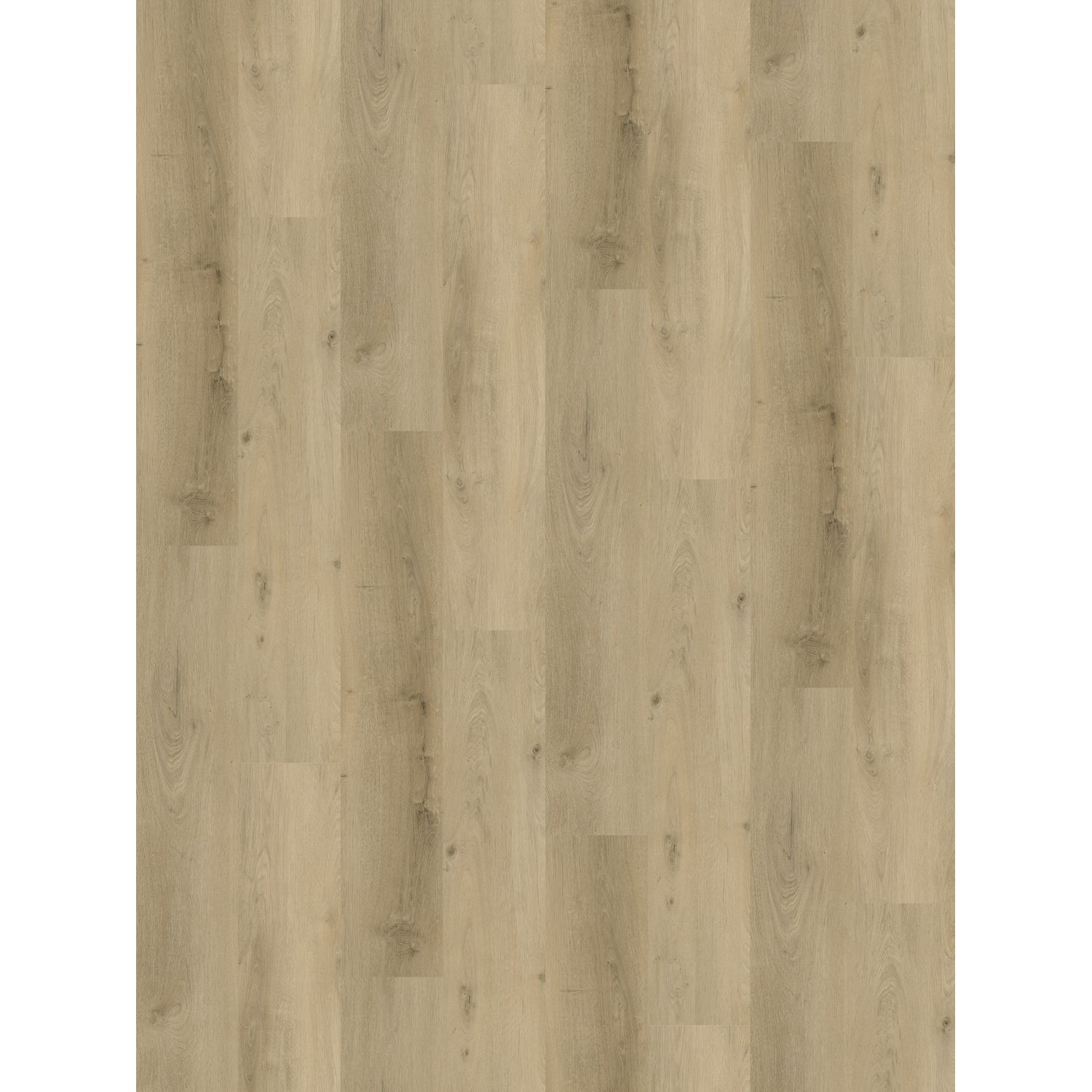 Praxis Pvc-vloer Design - Greige Eik - Micro V-groef - Waterproof - 5mm - 2,290m²