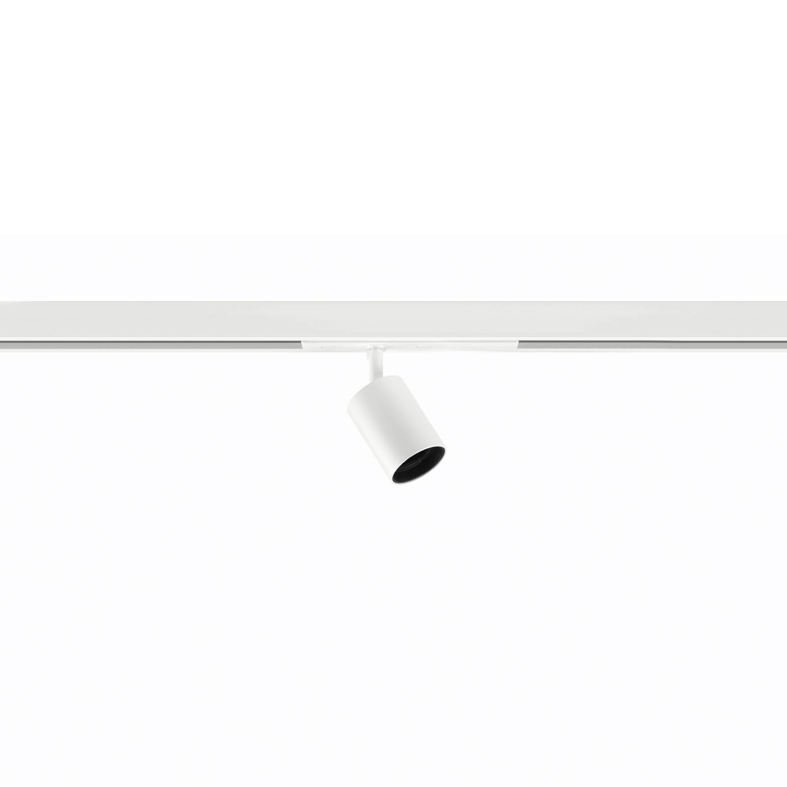 Ivela rails spot Nanoperfetto, wit, PWM, 48 V 38° 3.000 K