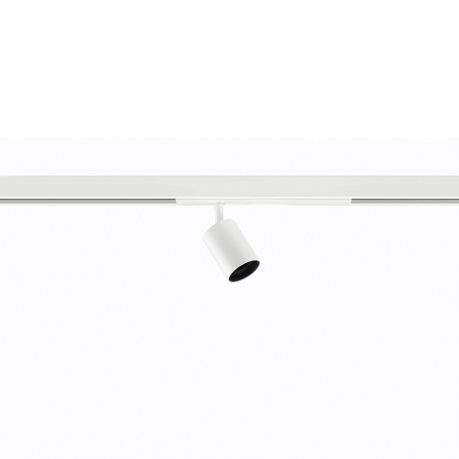 Ivela rails spot Nanoperfetto, wit, DALI 48 V 38° 3.000 K