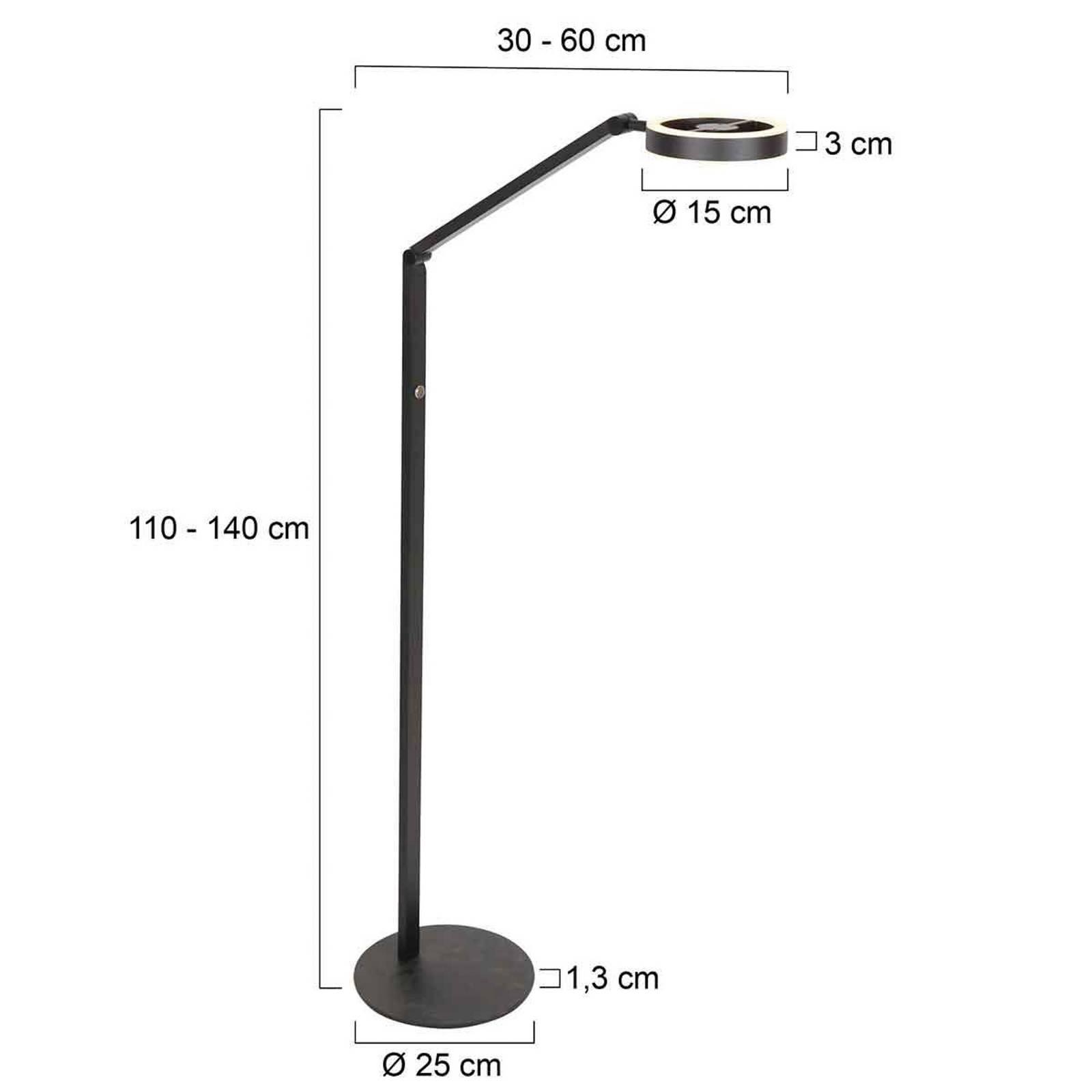 Steinhauer LED vloerlamp Ringlux, zwart, metaal, verstelbaar